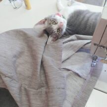 日々のこと。。。仕事中に，，，