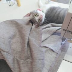 日々のこと。。。仕事中に,,,